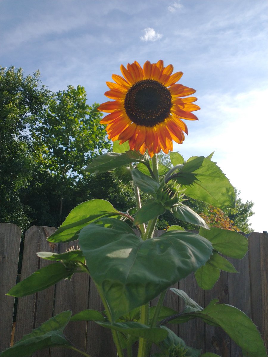 Good evening my peeps ✌️
I hope the day has treated 
you well!