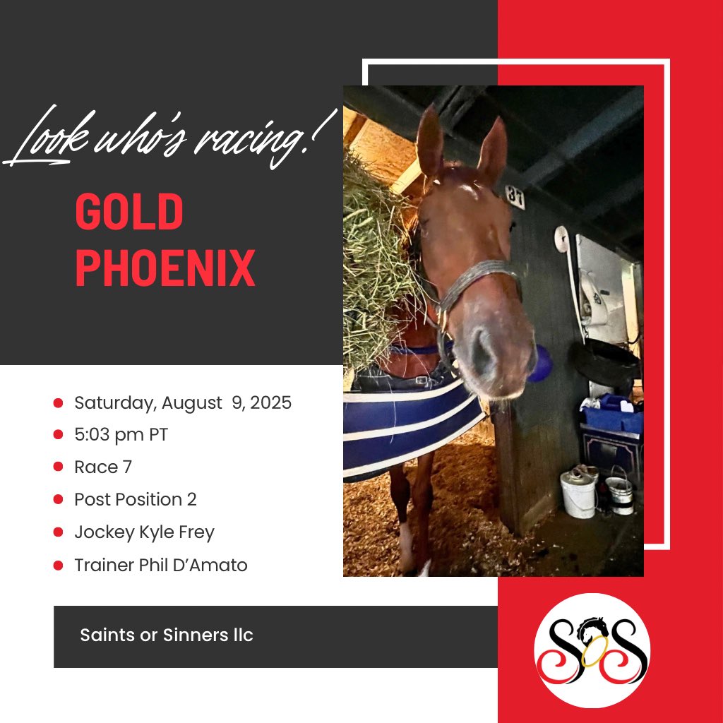 SoSRacingStable's tweet photo. Let the weekend begin at Del Mar! 🌊🐎 Saints or Sinners has 4 horses hitting the track tomorrow- Saturday. Two at Del Mar. Watch with us! #SoSStable #DelMarRacing #FromTrinitasToTrack #RaceDayMagic https://t.co/IlJMQhIQsx