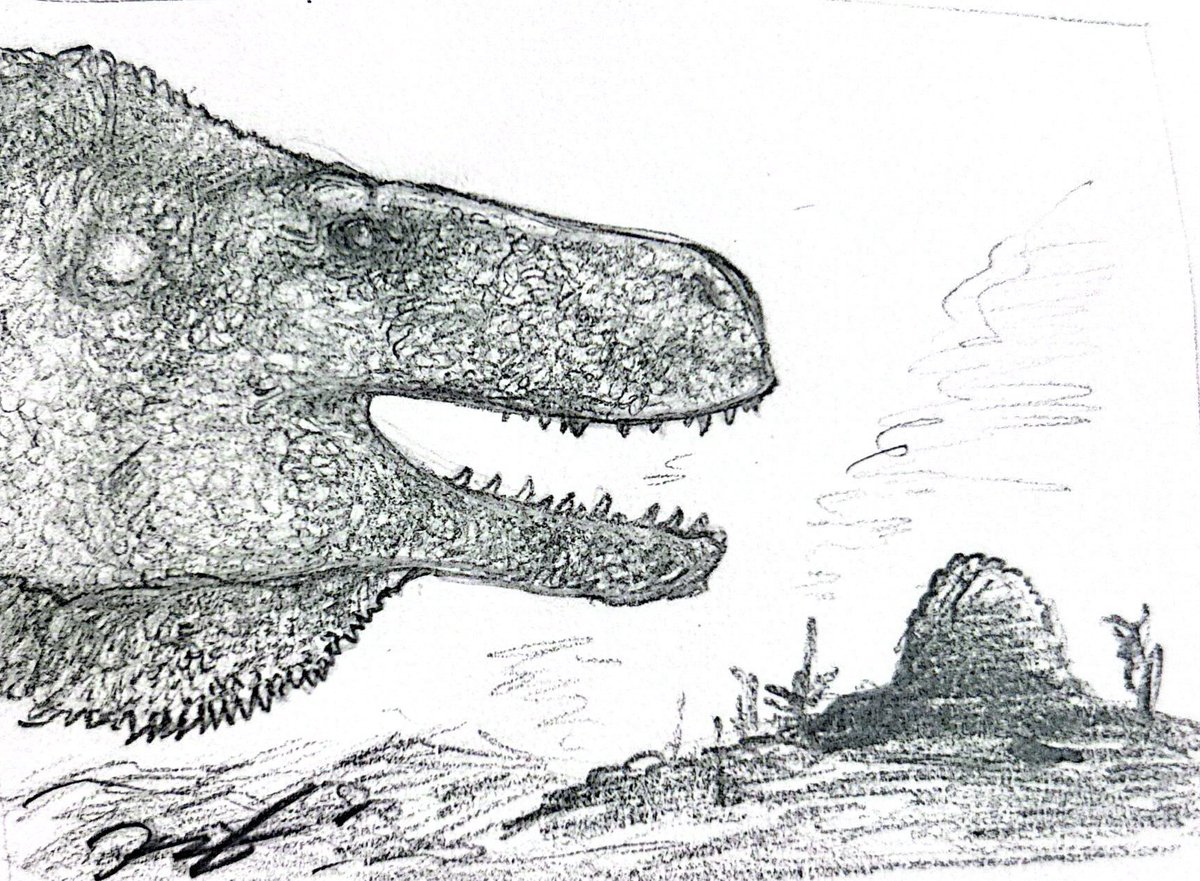 Arizona lizard #paleostream