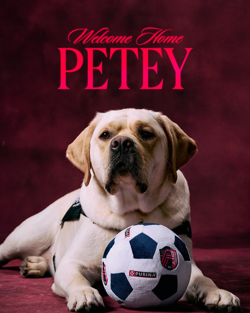 Phil ☘️🇺🇸🇮🇪 tweet media