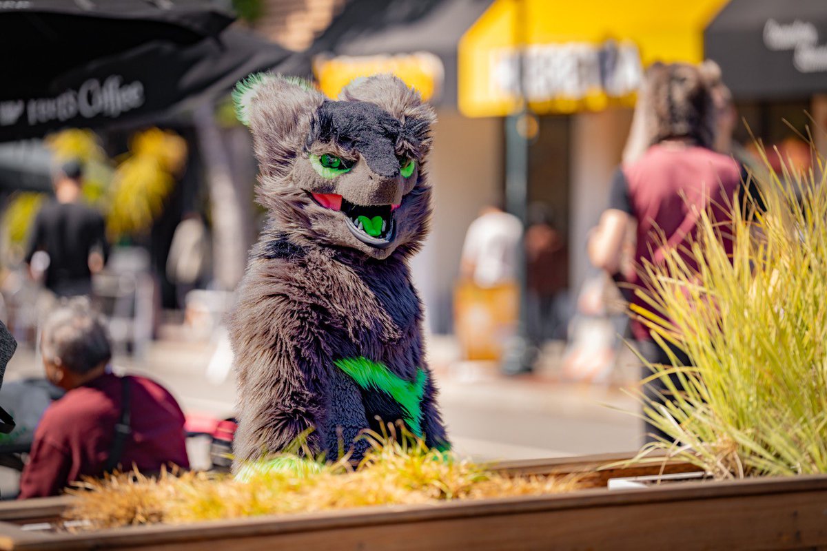 This hecking dumbass a got a new job. Feel free to call them fat. 
#Sergals #FursuitFriday 
📸: <a href="/trixx_rx/">Trix «PAWcon»</a>