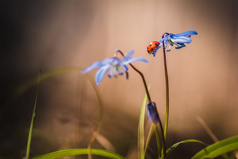 Шинэ сайхан өглөөний мэндээ Өргөн олон. Амралтын сайхан өдрөө амгалан, жаргалтай өнгөрүүлээрэй 😊💐🥀🌹
Өнөөдөр сайхан өдөр болог😊