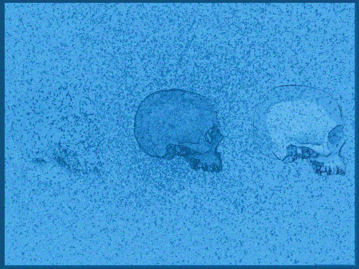 wave (returning to the bay arc) tweet media