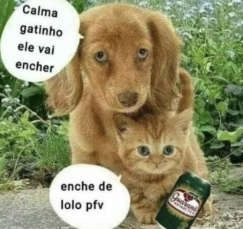 shitpostverdade's tweet photo. https://t.co/Ral5od6tvB