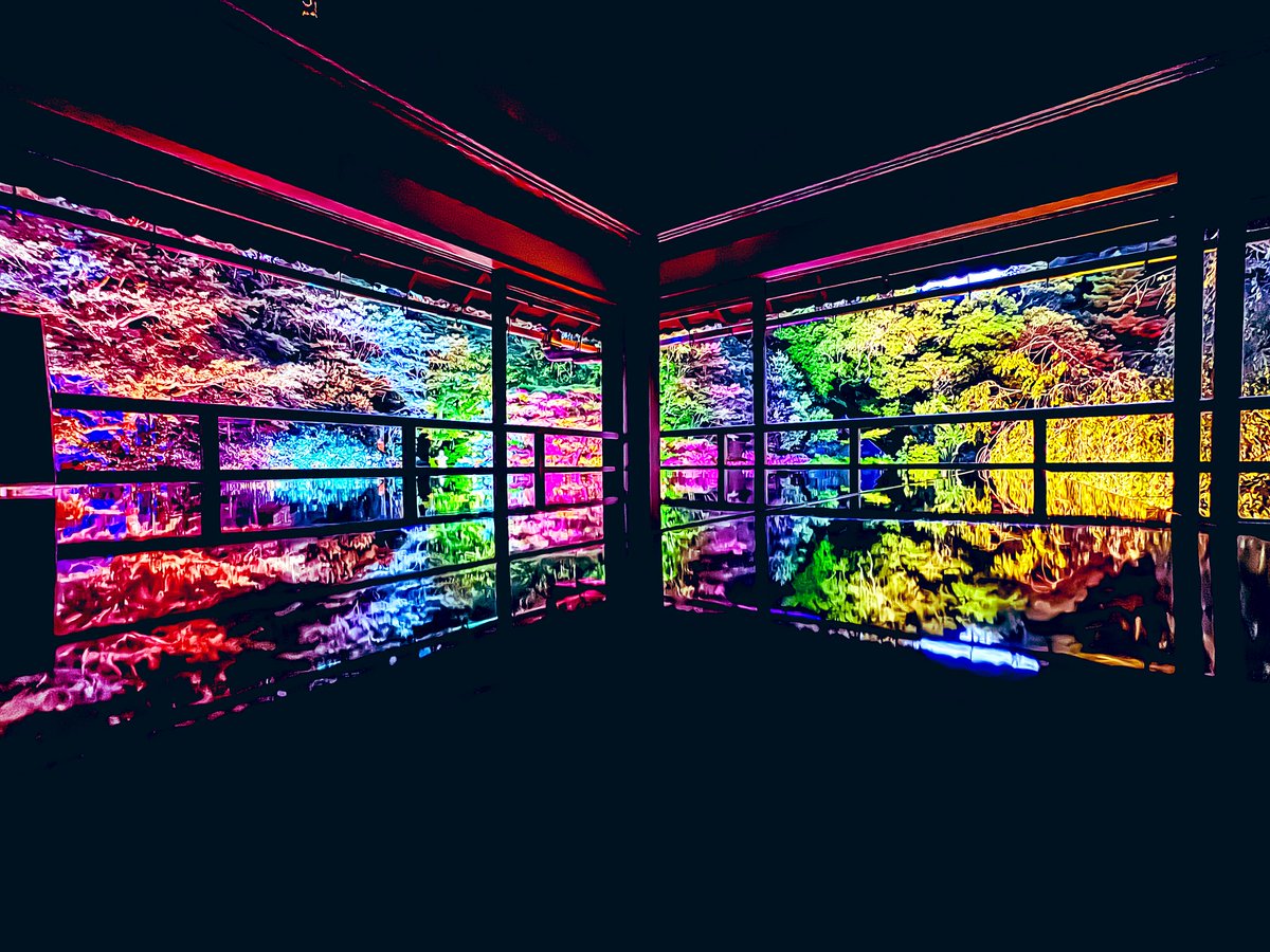 kenken_kyoto_'s tweet photo. 滋賀県大津市坂本
旧竹林院 夏のライトアップ✨
@biwako_otsu
【開催日】
7/26(土)~9/7(日) 期間中の
土日祝
及び2025年8/14(木)・15(金)
#旧竹林院 #びわ湖アンバサダー #ライトアップ #lightup #滋賀観光 #滋賀 #滋賀県 #しがトコ #hellootsu #滋賀県観光 #坂本 #大津市 https://t.co/JJh2qw8QcK
