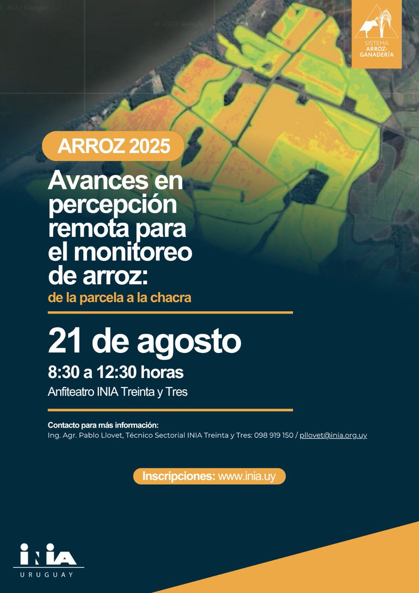 Walter Ayala tweet media