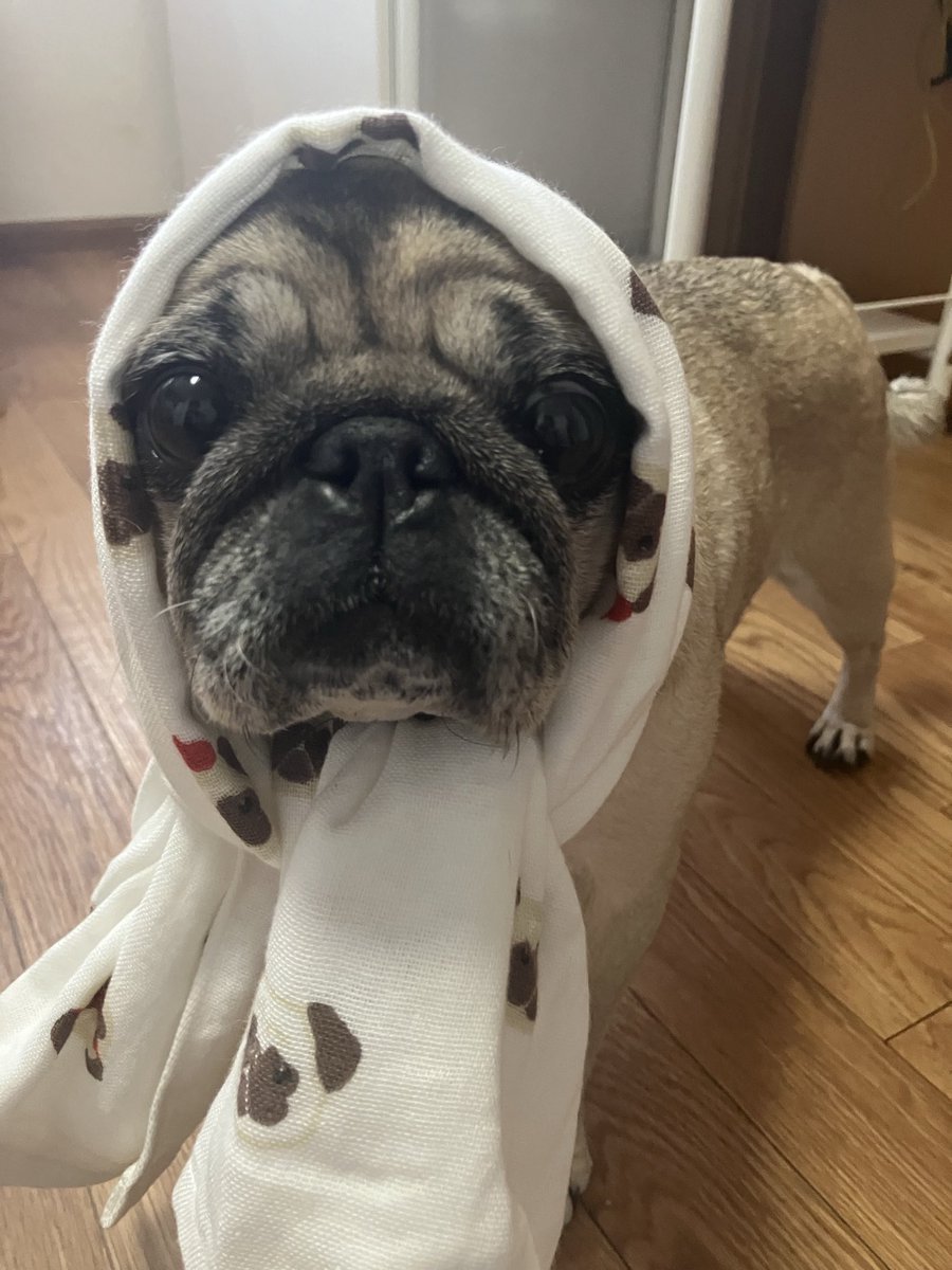 み〜やん☆彡 (@0618Miiyan) / Posts / X