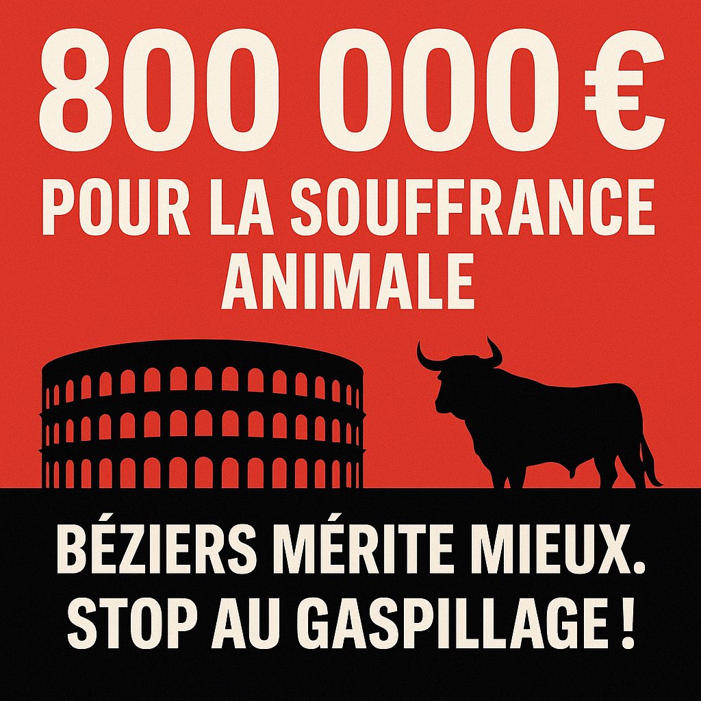 CrozierMagali's tweet photo. 💸 Béziers : près de 800 000 € d’argent public versés à la corrida entre 2019 et 2023.
Aucun intérêt économique, public minoritaire, opacité totale.
Pdt que nos services publics manquent, Ménard subventionne la souffrance animale.
#StopCorrida #Béziers
#Colbac https://t.co/bsmh5Dp6yF