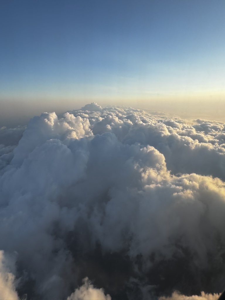 You already know…

$DOOD Cost Averaging 🤘 

Just doo it