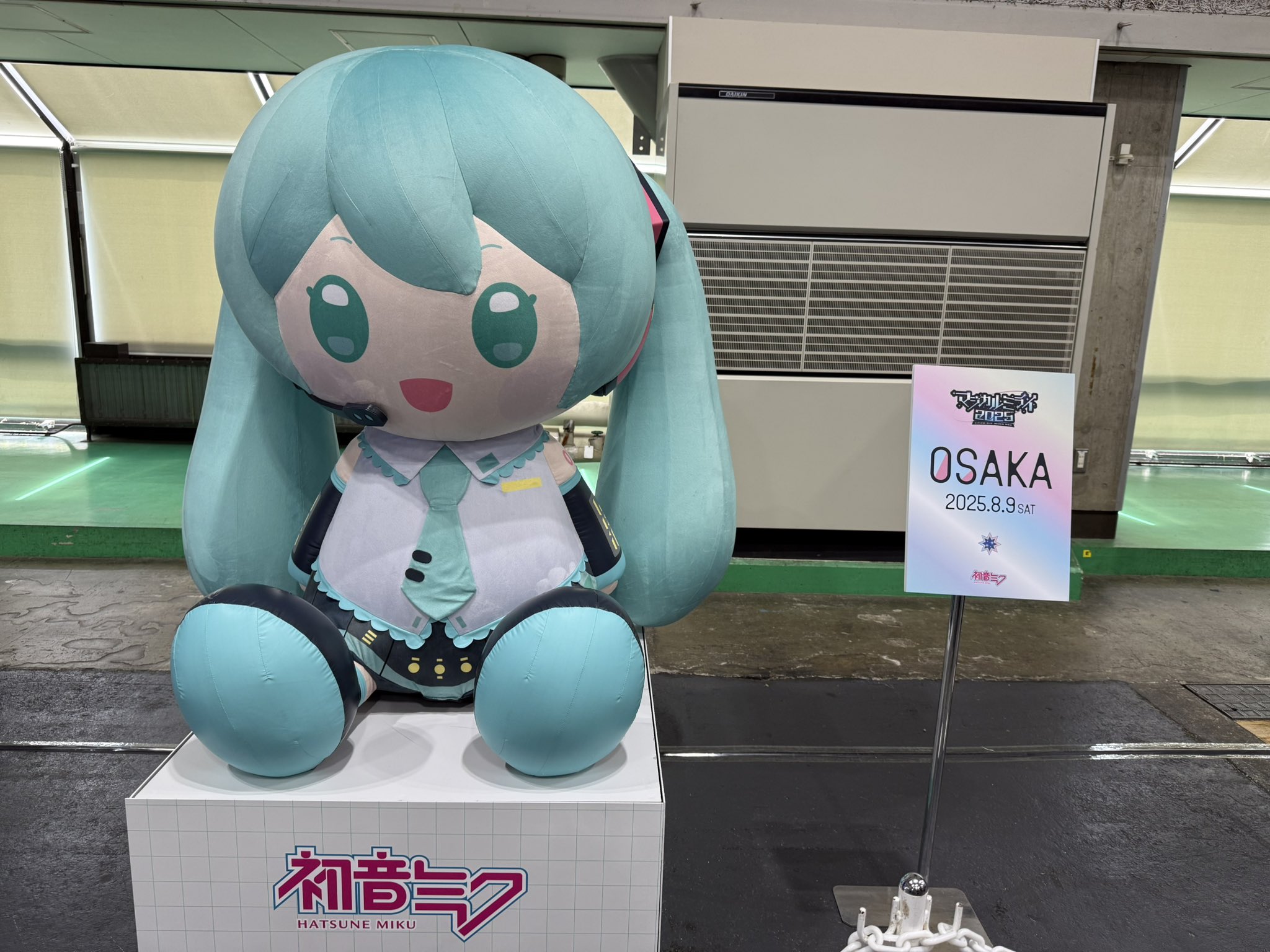 猫耳on X: 