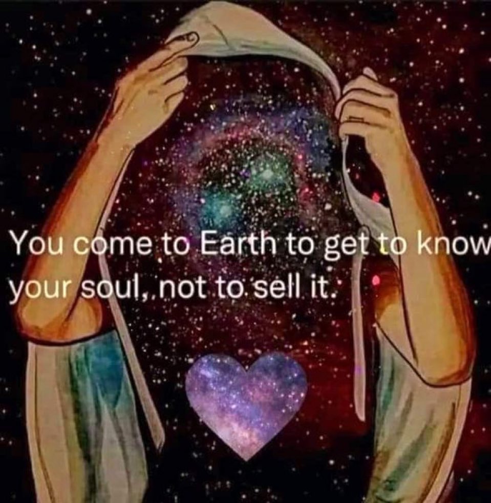 Anna Paulina Luna tweet media