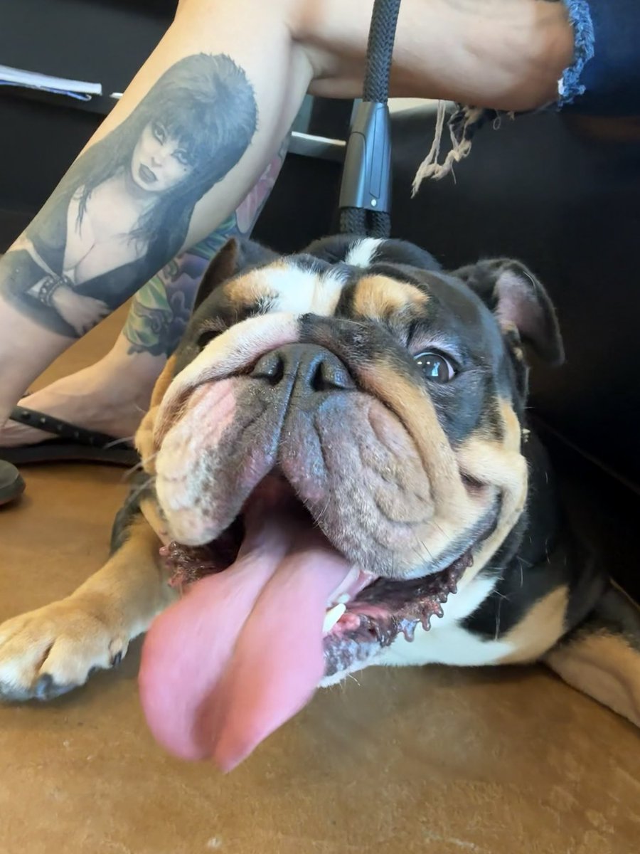 matribark's tweet photo. 🖤 https://t.co/4wkmu1FX4e
