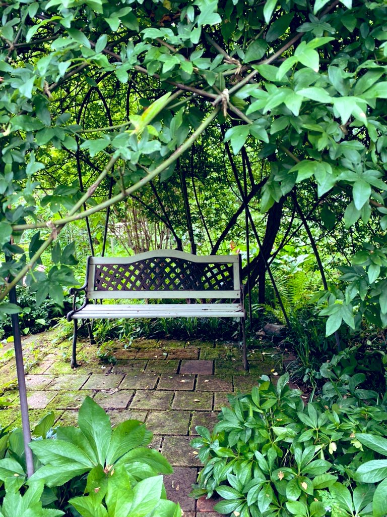 好きな風景。
自然がある中、静かにある椅子🌿

この椅子に、いろんな人々が座ったんだろう？
椅子はずっとそこにある、だけど人は入れ替わり立ち替わり。なんか、ドラマを感じるんです。