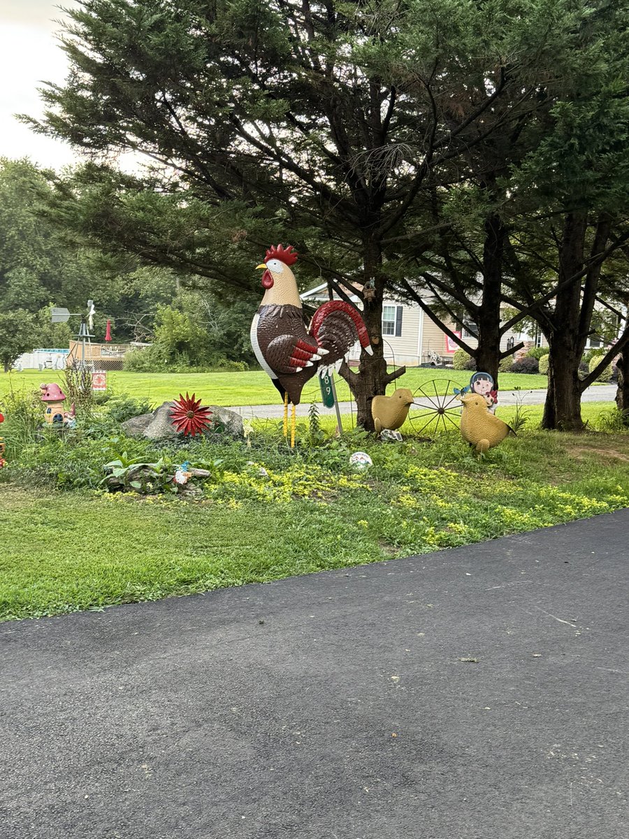 Walt Blethen tweet media