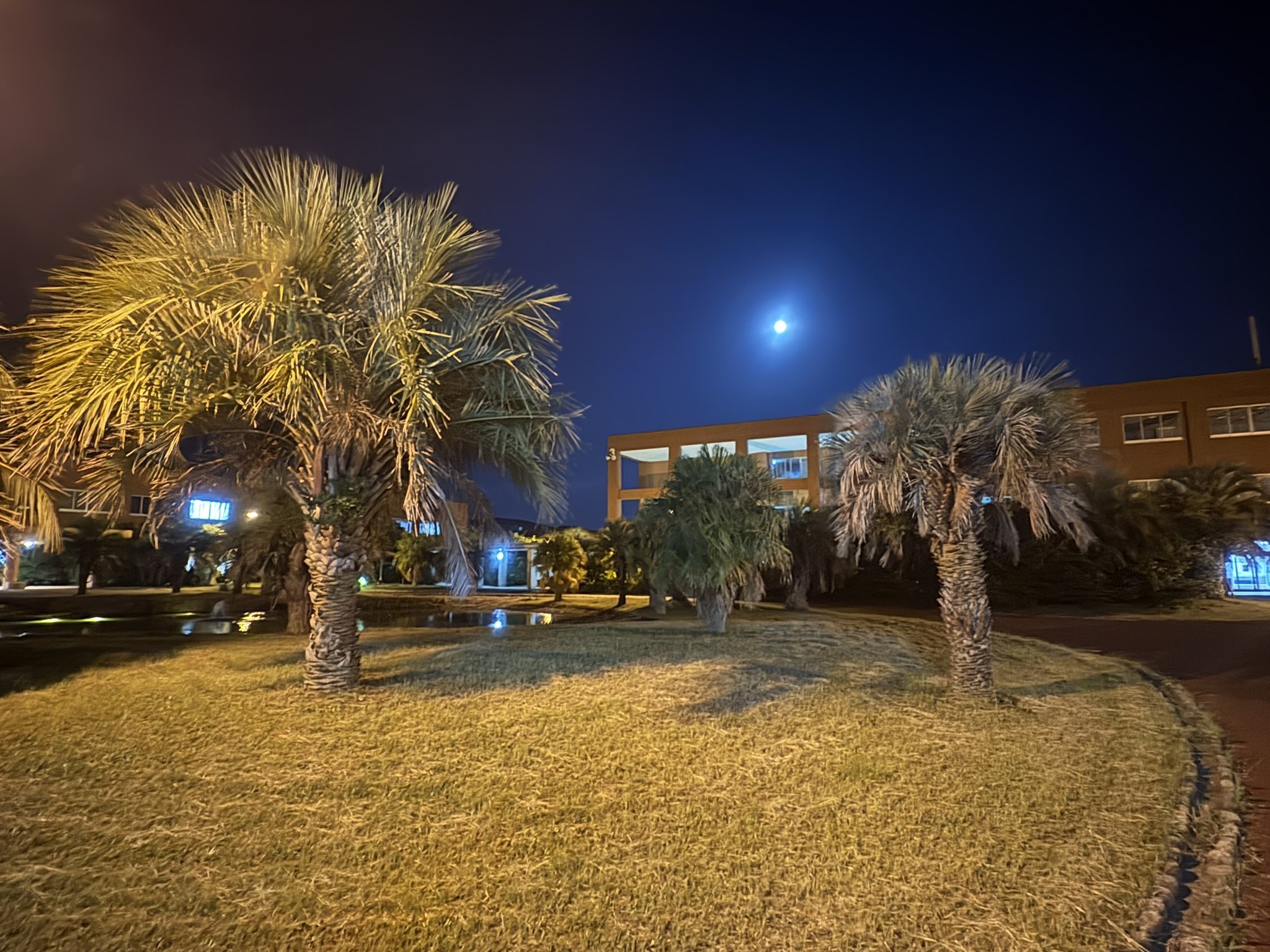 小西一禎 ｜大学教授・ジャーナリストの二刀流｜『妻に稼がれる