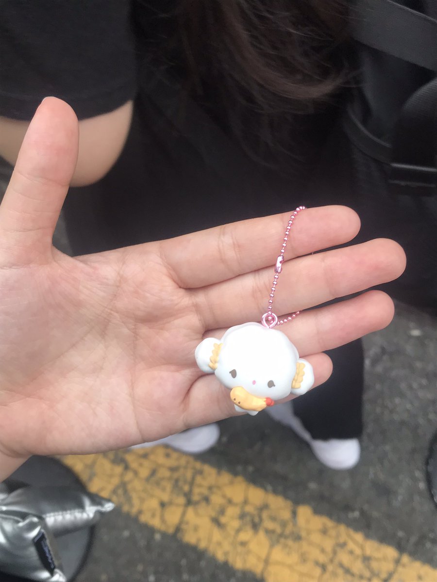 대전에서 뽑은 코기뮹
