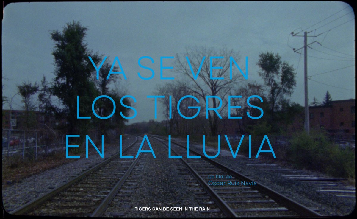 ContraviaFilms's tweet photo. El cortometraje «Ya Se Ven Los Tigres en la Lluvia» (TIGERS CAN BE SEEN IN THE RAIN) de Oscar Ruiz Navia tendrá su estreno mundial en la 63.ª
EDICIÓN DEL FESTIVAL DE CINE DE NUEVA YORK @TheNYFF  dentro de la sección CURRENTS, presentada por Film at Lincoln Center @FilmLinc https://t.co/UVu3Gm8s3v