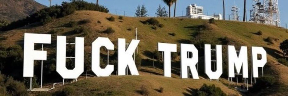 TPBlue 🇺🇸🦅 tweet media