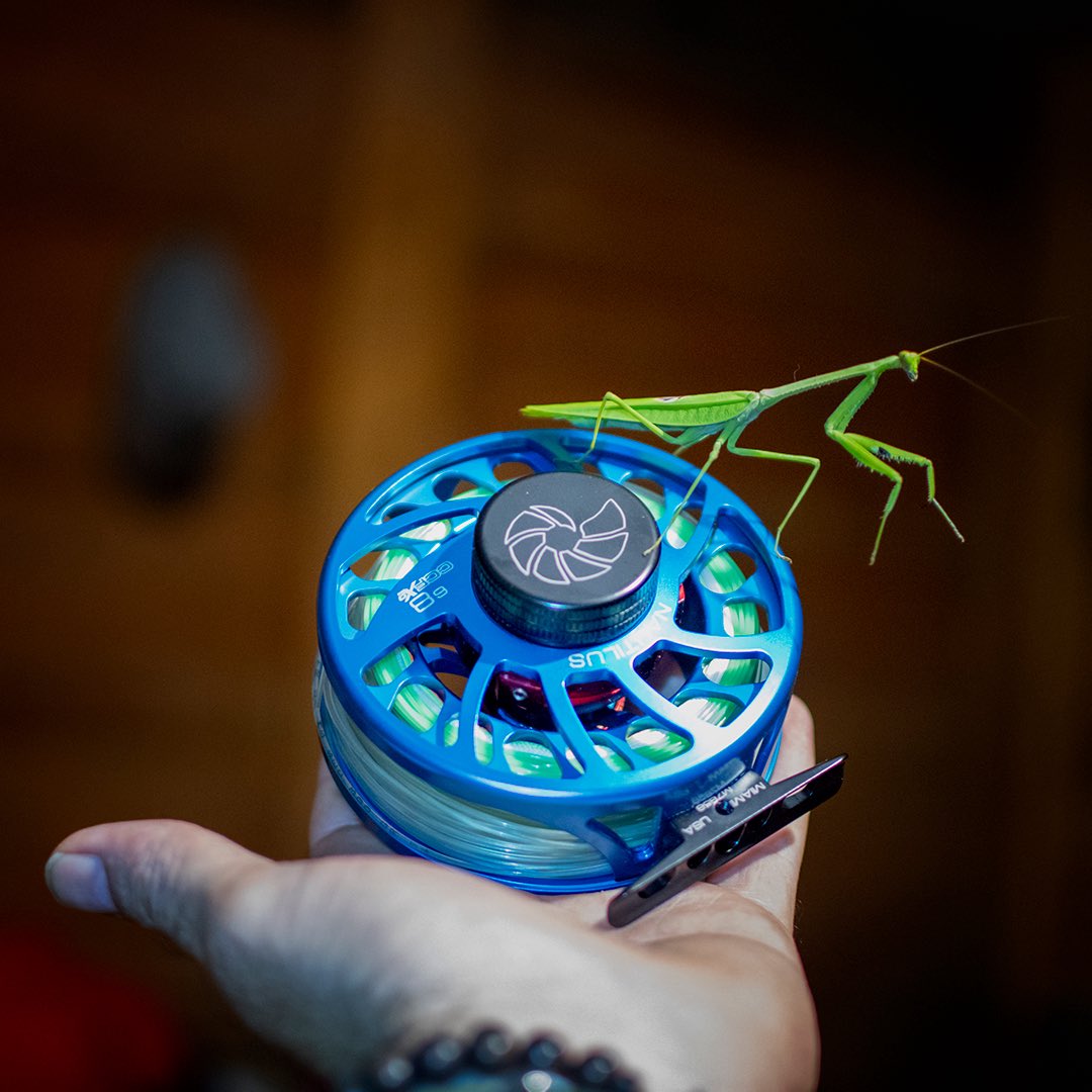 Nautilus Reels tweet media