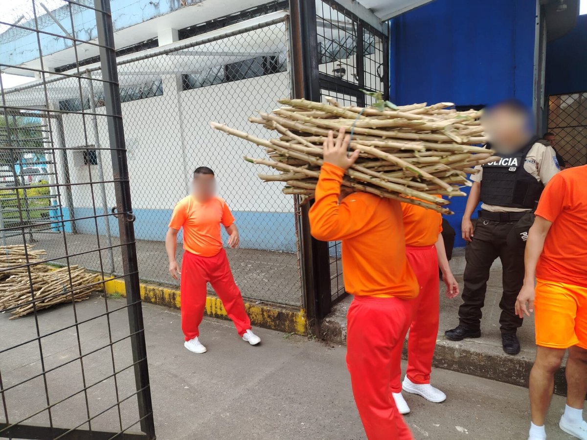 SNAI_Ec's tweet photo. 🌱 #CPLSantoDomingo1 | PPL participaron en preparación de terreno, recepción de semillas y siembra de yuca como parte del Eje Laboral.

💪 Fomentamos agricultura, sostenibilidad y trabajo en equipo para fortalecer la #ReinserciónSocial y la calidad de vida.

 #EjeLaboral https://t.co/dh9VFxckGb
