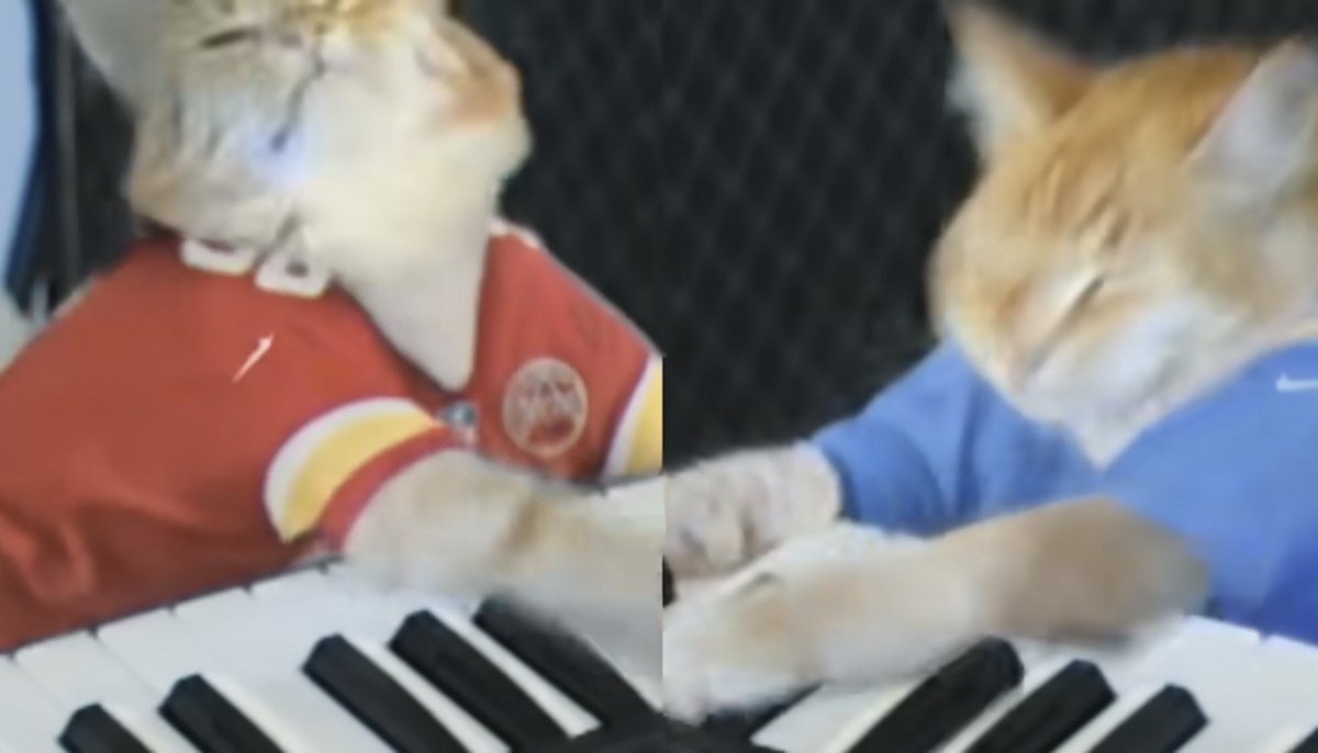 KeyboardCatReal's tweet image. Happy #InternationalCatDay from @NFL @YouTube &amp;amp; @KeyboardCatReal 🎹 🐈 🏈 

youtu.be/cx4ZuAdp28Y
