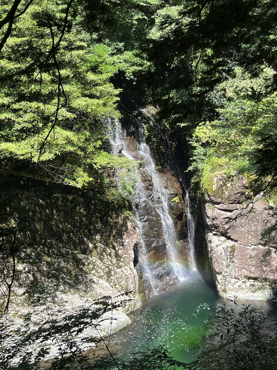 少し日常から離れて充電してます🍀

自然の中でぼーっとしてると

「宇宙ってなんだろう」

「この世ってなに？あの世って？」

「自分って何者？」

とか、考えても答えのでないことを
昔から考えてしまう時があります🪐
たまにはそんな時間も必要なのかも。

みなさん、よい週末を🍀