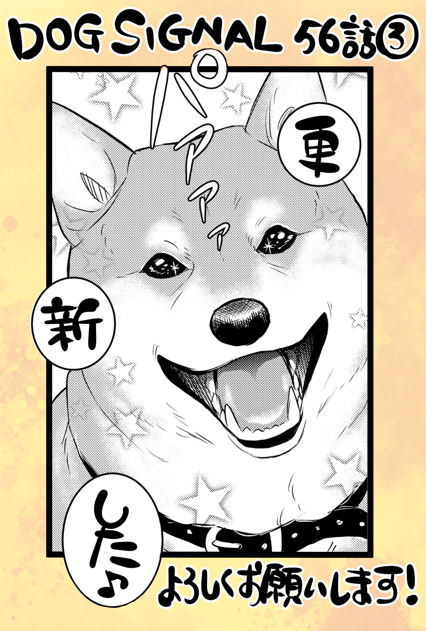 DOG SIGNAL 既刊全巻セット　13巻セット　ドッグシグナル DOG SIGNAL 1〜13巻 ドックシグナル DOG SIGNAL 全巻セット（1