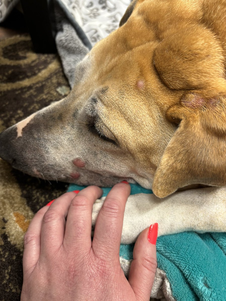 Peaches N. Cream 😶‍🌫️💨 tweet media