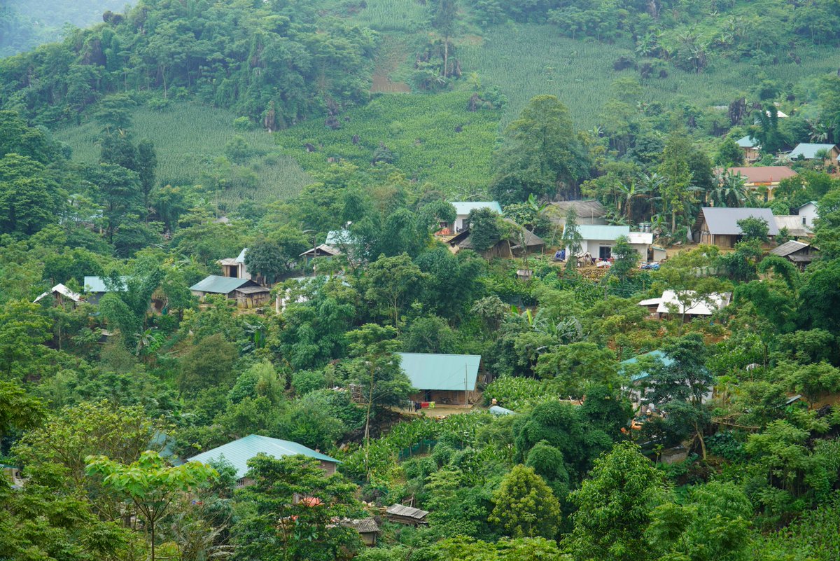 Today is #IndigenousPeoplesDay. Indigenous peoples face barriers to adequate housing: insecure tenure, lack of recognition for ancestral domains and limited access to affordable, culturally appropriate housing. @Habitat_Vietnam contributed to breaking down some of these barriers.