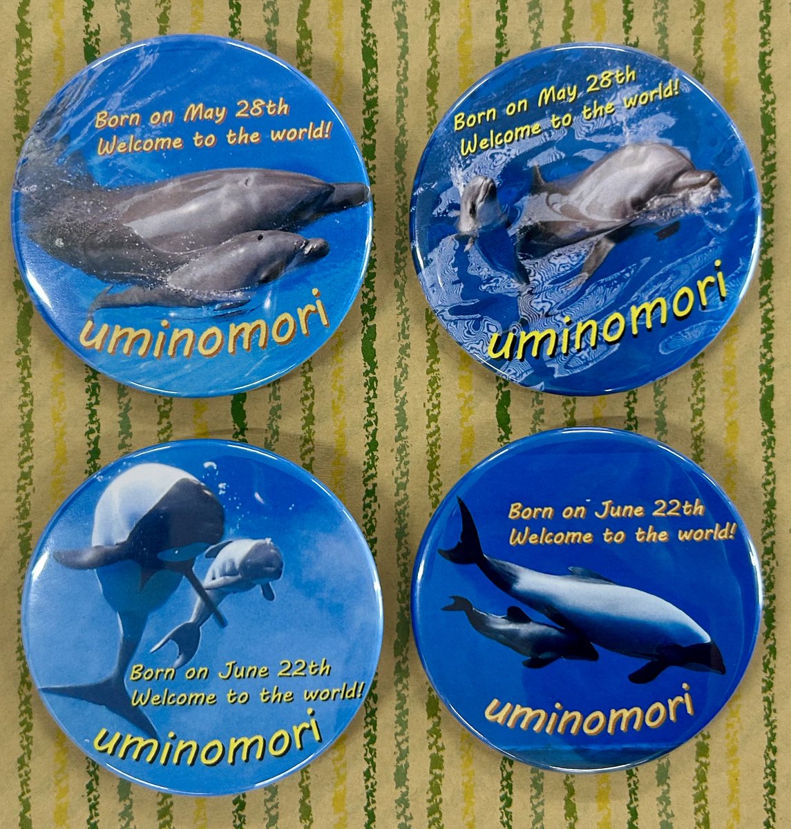 仙台うみの杜水族館】 本日8月9日から「缶バッジづくり」に