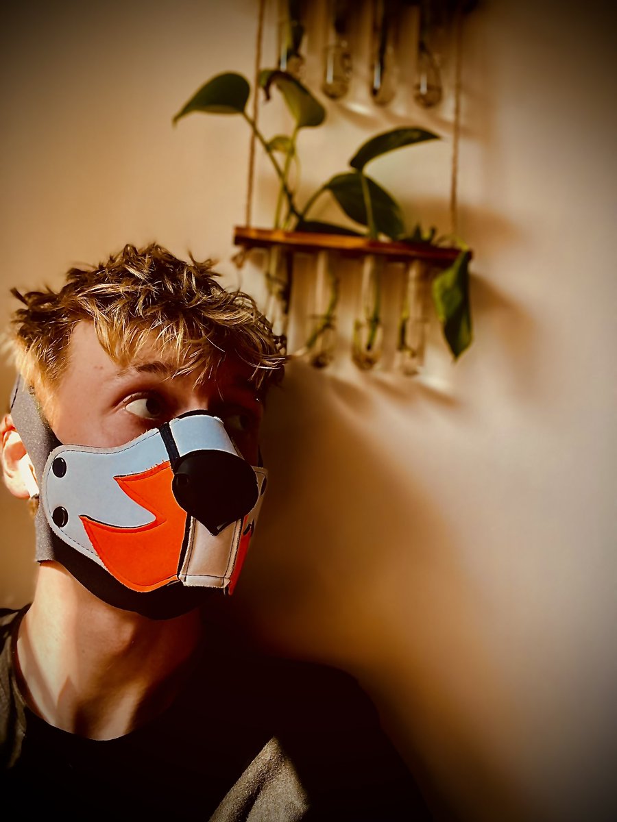 PuptheChipper 🔜 B&Q tweet media