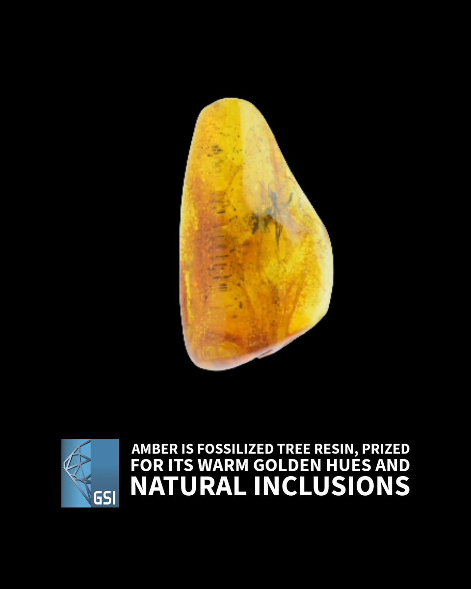 Amber is fossilized tree resin, prized for its warm golden hues ranging between yellow, orange, and brown, and natural inclusions. Often millions of years old, it’s lightweight and sometimes contains ancient insects or plant matter. 

#GemFacts #Amber
