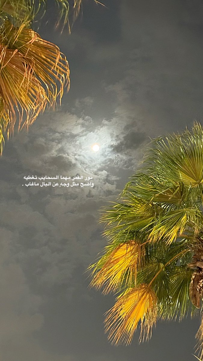 نور القمر مهما السحايب تغطيه
واضح مثل وجهٍ عن البال ماغاب .