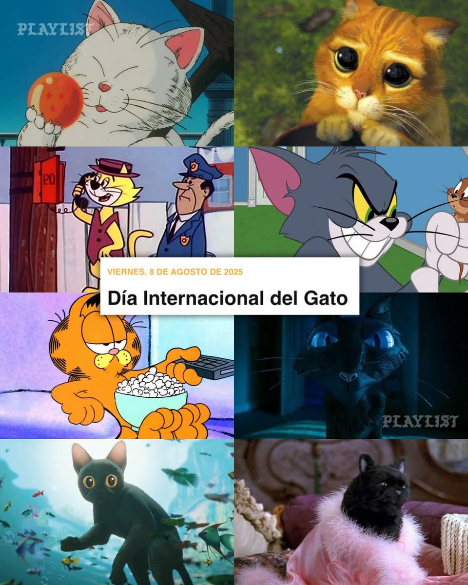 Un feliz día y por siempre!!! A estos seres tan maravillosos y únicos a su modo!!! Son conscientes que tienen el mundo en sus manos y aún así, no les importa 🤣🤣🐈🐈🎉🎉