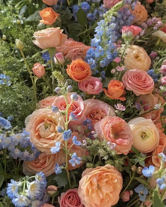 Angela (@angela3789677) on Twitter photo 