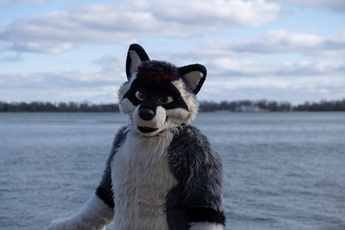 Just a friendly reminder that I know where you hide your snacks.
#FursuitFriday 
📷<a href="/Mayelopup/">Mayelo🐱</a>