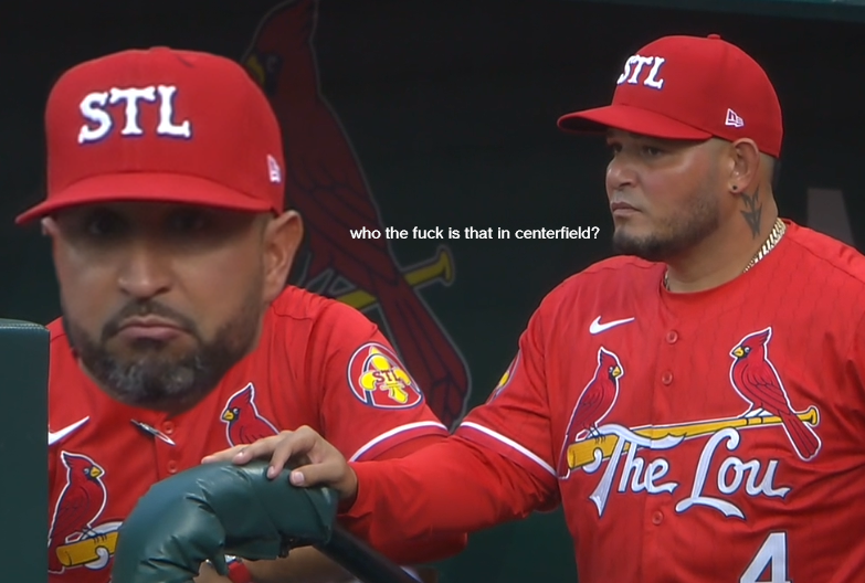 cardinalsgifs's tweet image. 