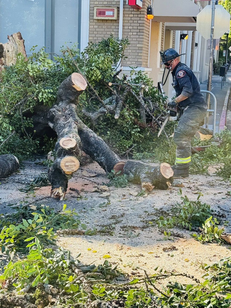 Downtown Mill Valley Detour: Throckmorton Ave/Corte Madera Ave temporarily blocked while SMFD clears a tree fall obstructing the roadway. Use alternate routes.