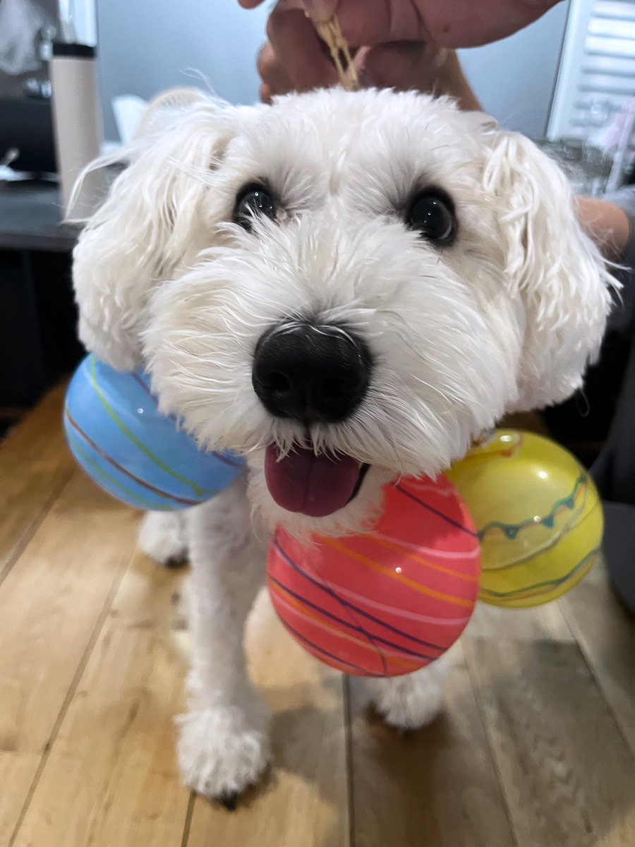 ほしみ tweet media