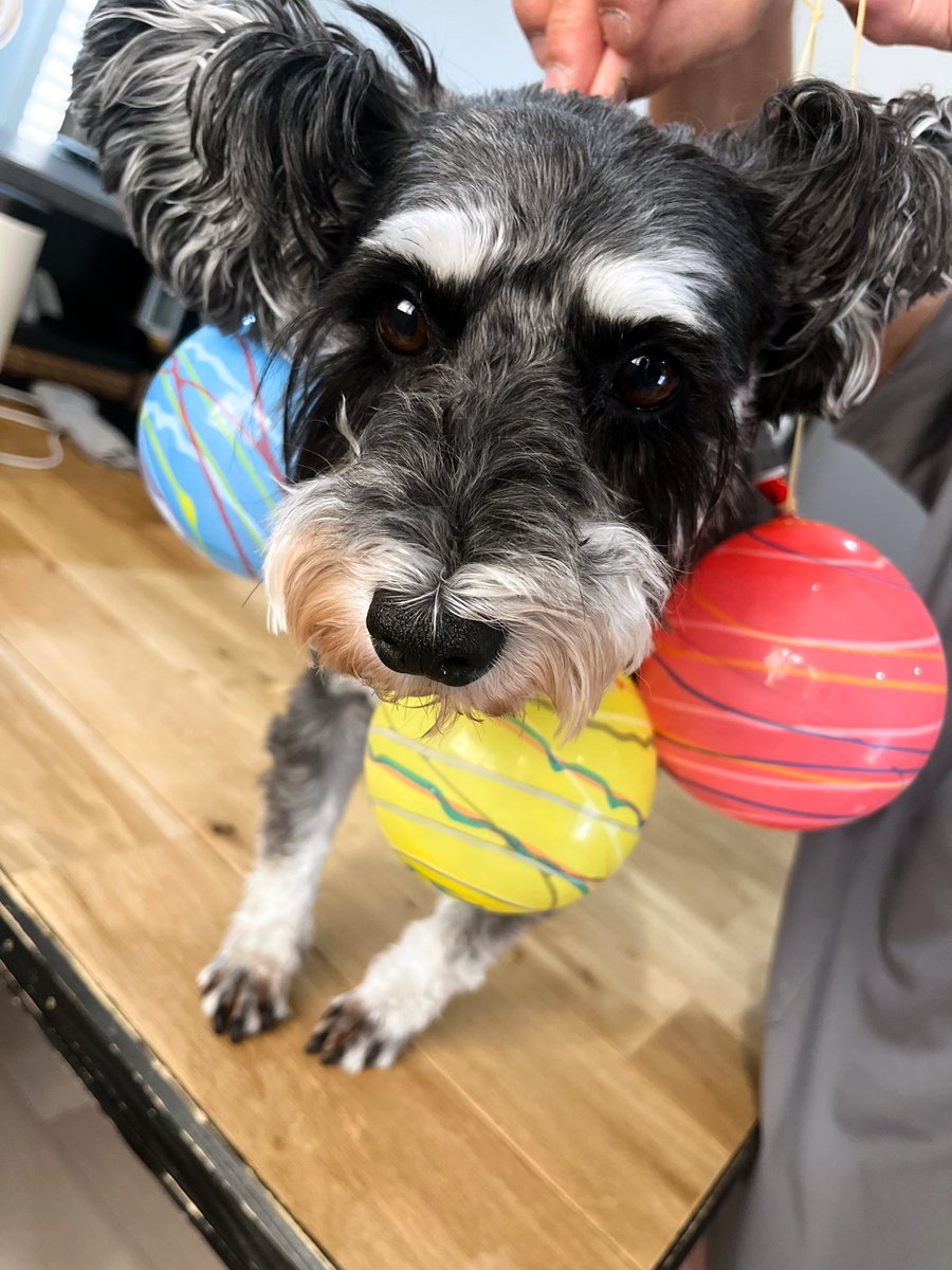 ほしみ tweet media