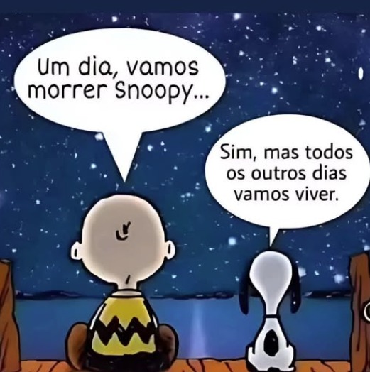Yolanda Bacchi Bravim (@ybravim) on Twitter photo 