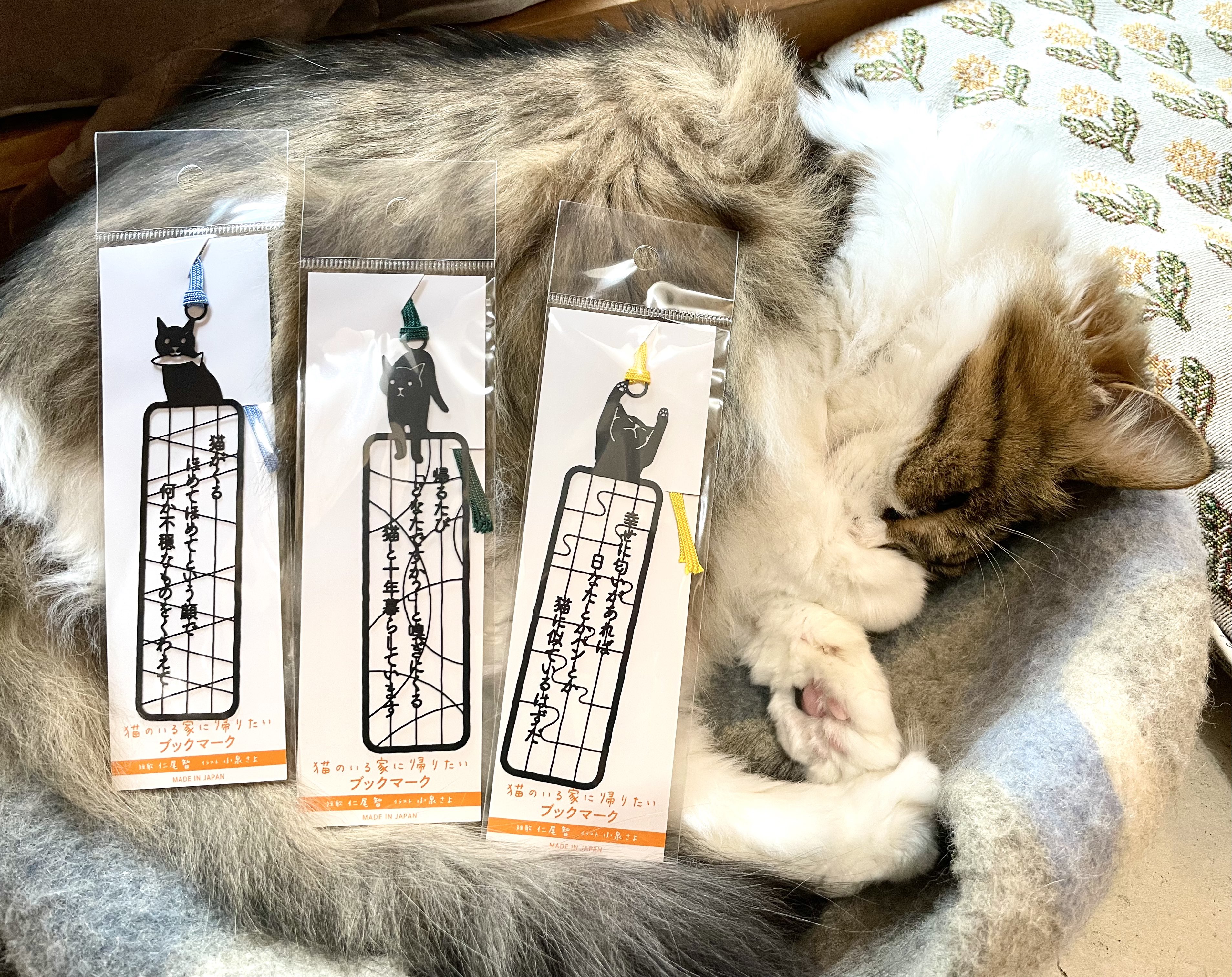 ねこぢる関連10冊セット ねこぢる関連10冊セット