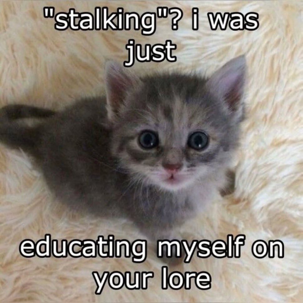 literallymecats's tweet photo. https://t.co/rAhworrIBm