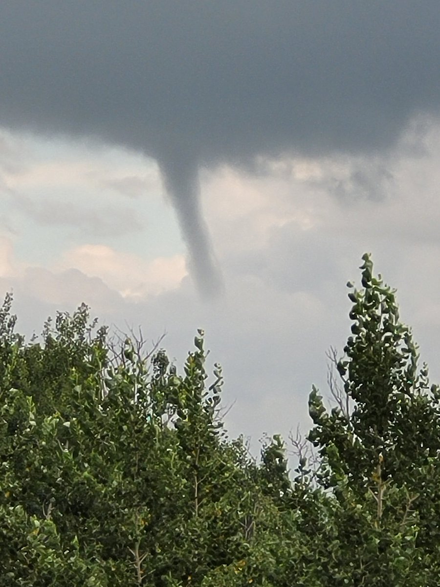 Lydia Wollman tweet media