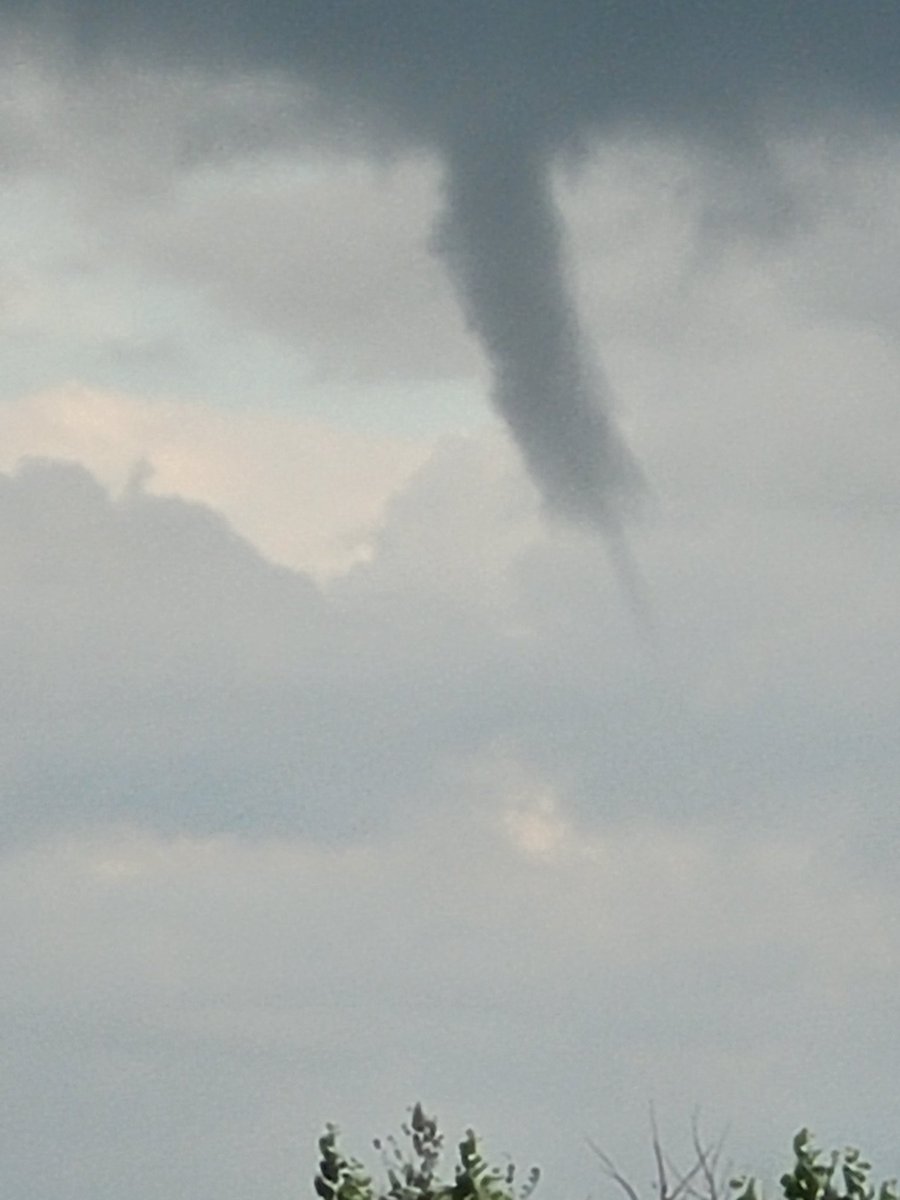 Lydia Wollman tweet media