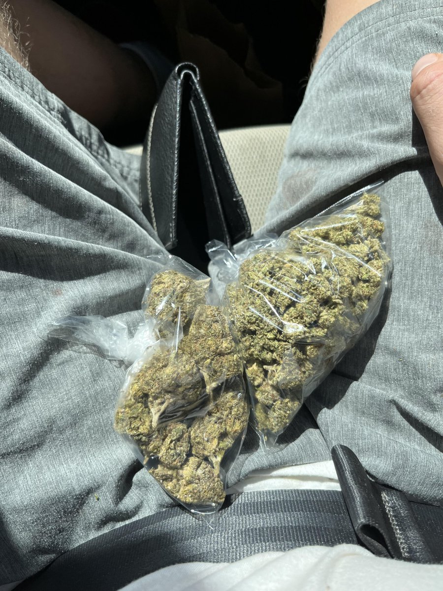 Gorilla panic #WriteWeed #WeedLife #StonerFam #CannabisCulture