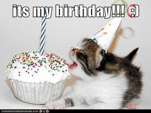 Appendix__'s tweet image. 