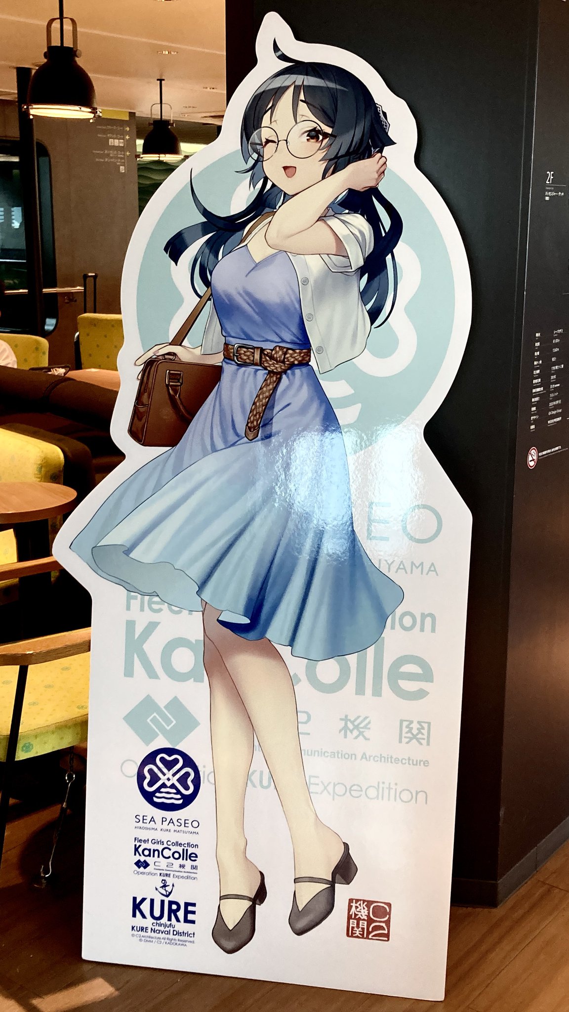 たらすけ♡ じゃらしを追いかけるきすけくん🐟 ほぼ同じ写真だけど、全部