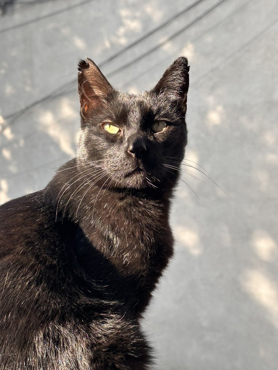 Dice Clandestino que feliz cumpleaños, querida y admirada <a href="/biank_estrada/">Bianka Estrada</a> .