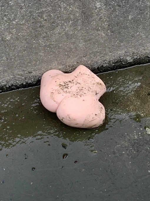 地元の用水路にケツ落ちてたわ